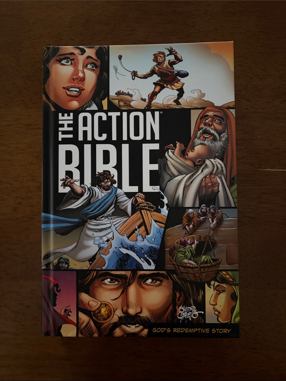 NEW The Action Bible - Illustrated Graphic Novel (Multicolor)